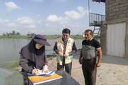 بازدید از مزرعه پرورش ماهی مشکوک به بیماری KHV در بابل/توصیه بهداشتی به پرورش‌دهندگان