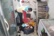 کشف و معدوم‌سازی مرغ و بوقلمون فاسد در مرکز عرضه آمل