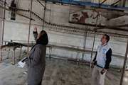 بازدید رئیس دامپزشکی نکا از کشتارگاه تیرنگ؛ تأکید بر رفع نواقص بهداشتی و تضمین سلامت فرآورده‌های طیور