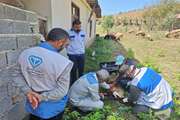 گزارش تصویری از برگزاری اردوی جهاد دامپزشکی در روستای جناسم شهرستان میاندورود