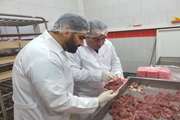 بازدید شبانه کارشناسان دامپزشکی قائمشهر از کشتارگاه صنعتی طیور؛ممیزی صادرات براساس استانداردهای بهداشتی