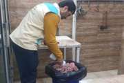 کشف و معدوم‌سازی فرآورده‌های دامی غیربهداشتی در آمل
