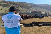 گزارش تصویری از برگزاری چهارمین رزمایش جهاد دامپزشکی استان مازندران در منطقه پشت کوه بخش چهاردانگه شهرستان ساری