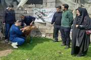 برگزاری رزمایش جهادی دامپزشکی با هدف ارتقای بهداشت دام در جویبار ‌