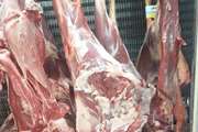 کشف لاشه غیرمجاز و معدوم سازی گوشت تاریخ گذشته در بابلکنار