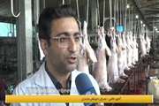 استقرار ۱۵۴ اکیپ دامپزشکی مازندران بمناسبت عید قربان
