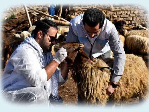 دستاوردهای اداره کل دامپزشکی استان مازندران در دولت چهاردهم