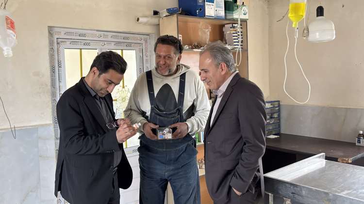 همکاری اداره کل دامپزشکی مازندران و دانشگاه برای مدیریت اصولی سگ‌های بلاصاحب