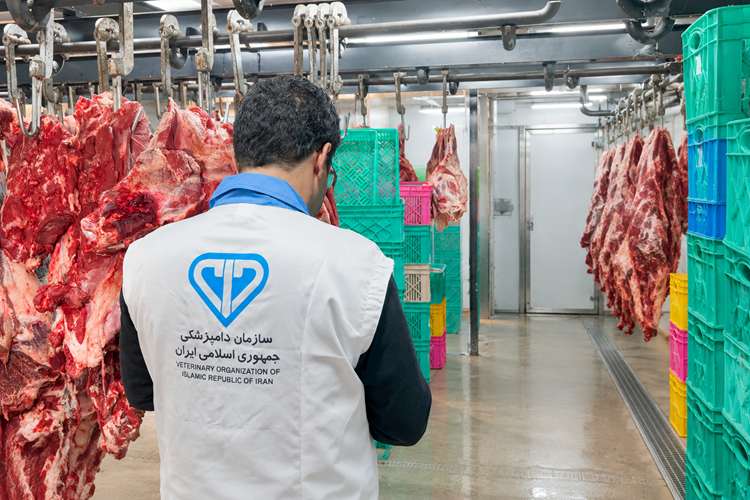 ثبت بیش از ۱۴ هزار نوبت بازرسی بهداشتی در مازندران/ پلمب ۱۱ واحد متخلف و ارجاع ۸۸ پرونده به مراجع قضایی