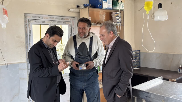 همکاری اداره کل دامپزشکی مازندران و دانشگاه برای مدیریت اصولی سگ‌های بلاصاحب