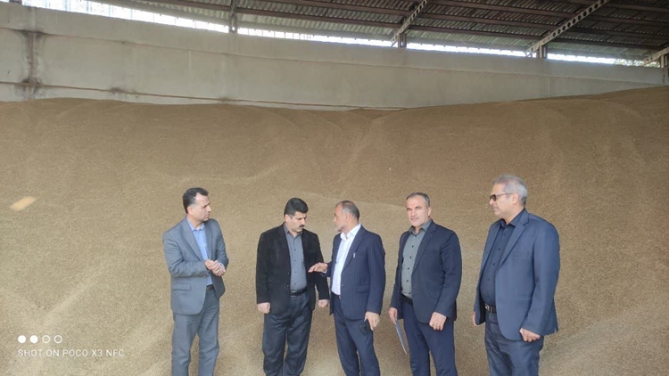بازدید میدانی کارگروه آرد و نان جویبار از کارخانه آرد نمونه با تأکید بر نظارت بهداشتی و سلامت فرآورده‌های دامی