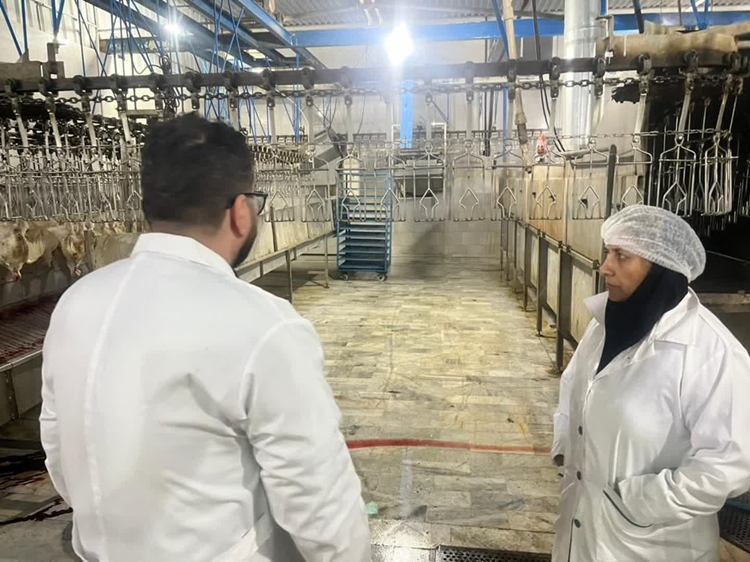 تأکید بر ارائه مرغ سالم به مردم