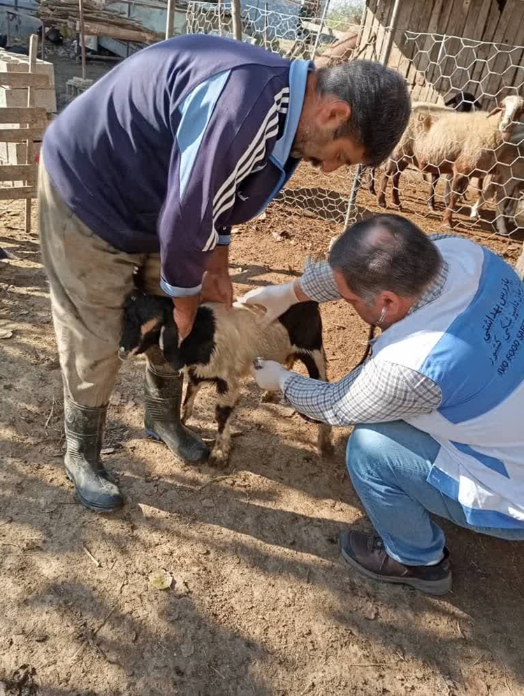 برگزاری اردوهای جهادی دامپزشکی در هفته بسیج