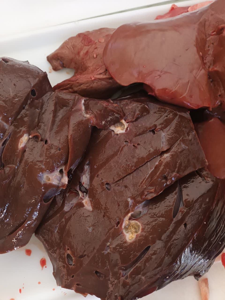 کشف و معدوم‌سازی فرآورده‌های دامی آلوده در قصابی‌های سوادکوه شمالی