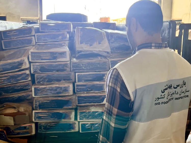 سالم‌سازی چرخه مصرف با انهدام ۱۲۰۰ کیلوگرم مرغ آلوده در میاندورود