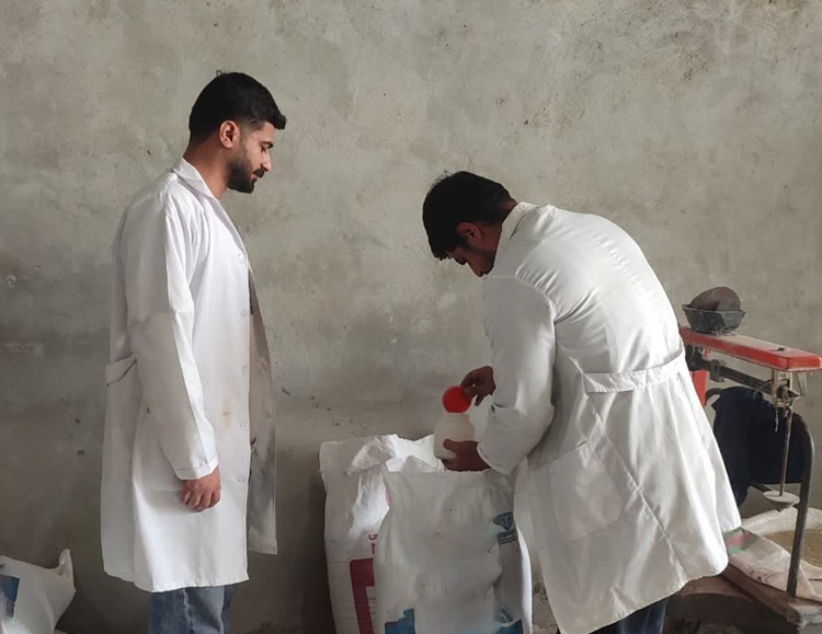 نمونه‌گیری میکروبی از خوراک دام در محمودآباد؛ بررسی اسنادِ قرنطینه ای در بازدید سرزده دامپزشکی
