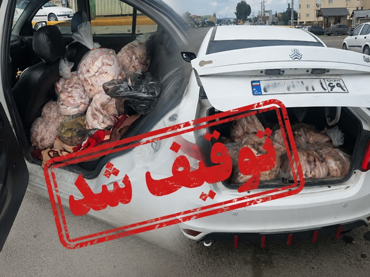 توقیف خودروی سواری با محموله مرغ تلفاتی در میاندورود