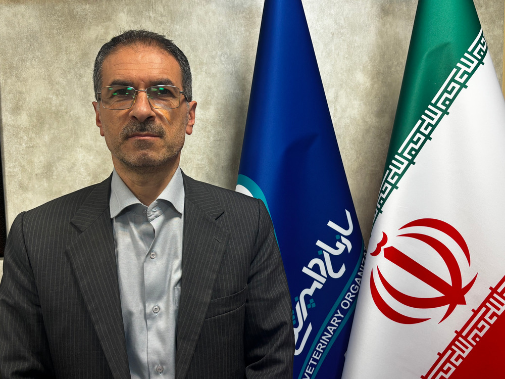 محمد جواد  رفیعی